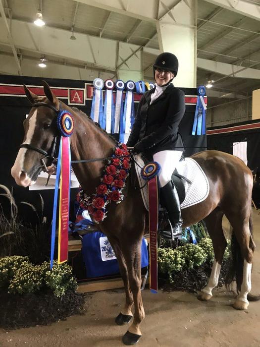 Lakeville Native Finishes Horse Show Highly Decorated